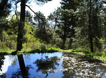 Charco Abantos